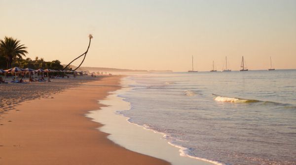 Top 10 raisons de camper sur l'île d'Oléron près de la mer